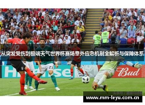 从突发受伤到极端天气世界杯赛场意外应急机制全解析与保障体系